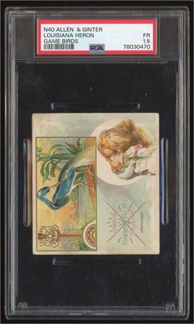 1888 N40 Allen & Ginter Louisiana Heron Game Birds PSA 1.5 FAIR