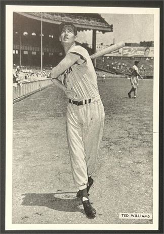 1954 All-Star Ted Williams Photo Pack RARE