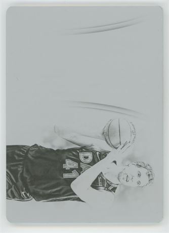 2019 Panini Flawless Dirk Nowitzki 1/1 Black Printing Plate