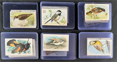 1930s Useful Birds of America Lot (74) EXMT