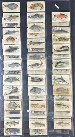 1910 T58 Fish Series 86/100 Near Set Low Grade