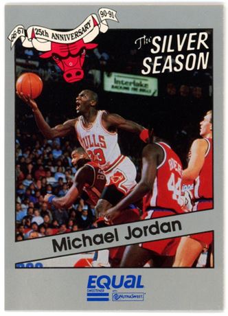 1991 Star Equal The Silver Season Michael Jordan Insert EX
