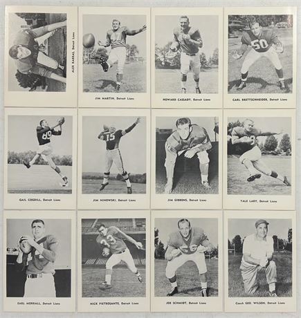 1961 Jay Publishing Picture Pack Detroit Lions Complete Set (12)
