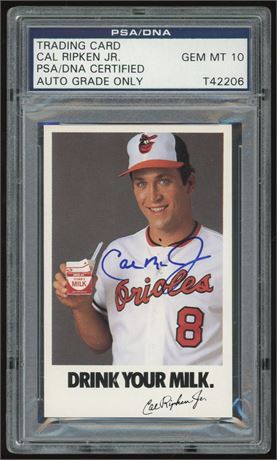Trading Card Cal Ripken Jr PSA DNA Certified Auto 10 GEM MINT
