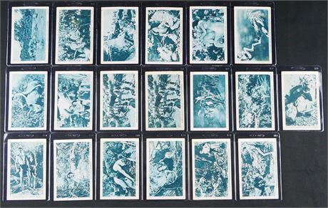 1934 Johnny Weissmuller Tarzan Card Lot (19) Low Grade