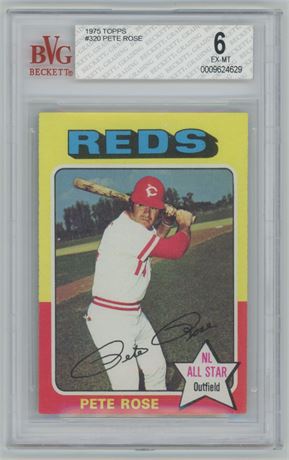 1975 Topps #320 Pete Rose BVG 6 EXMT