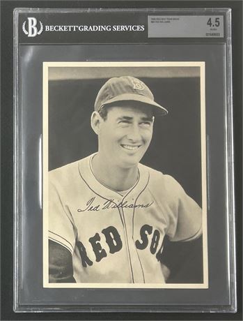 1948-50 Boston Red-Sox Picture Pack #28 Ted Williams BVG 4.5 VGEX